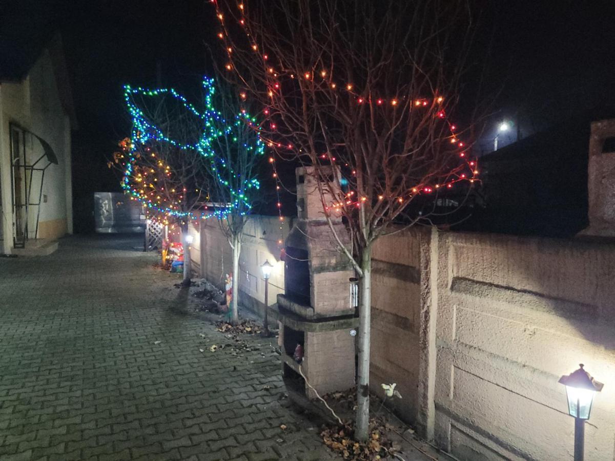 Casa Ovi Si Simo Hotel Haţeg Eksteriør billede