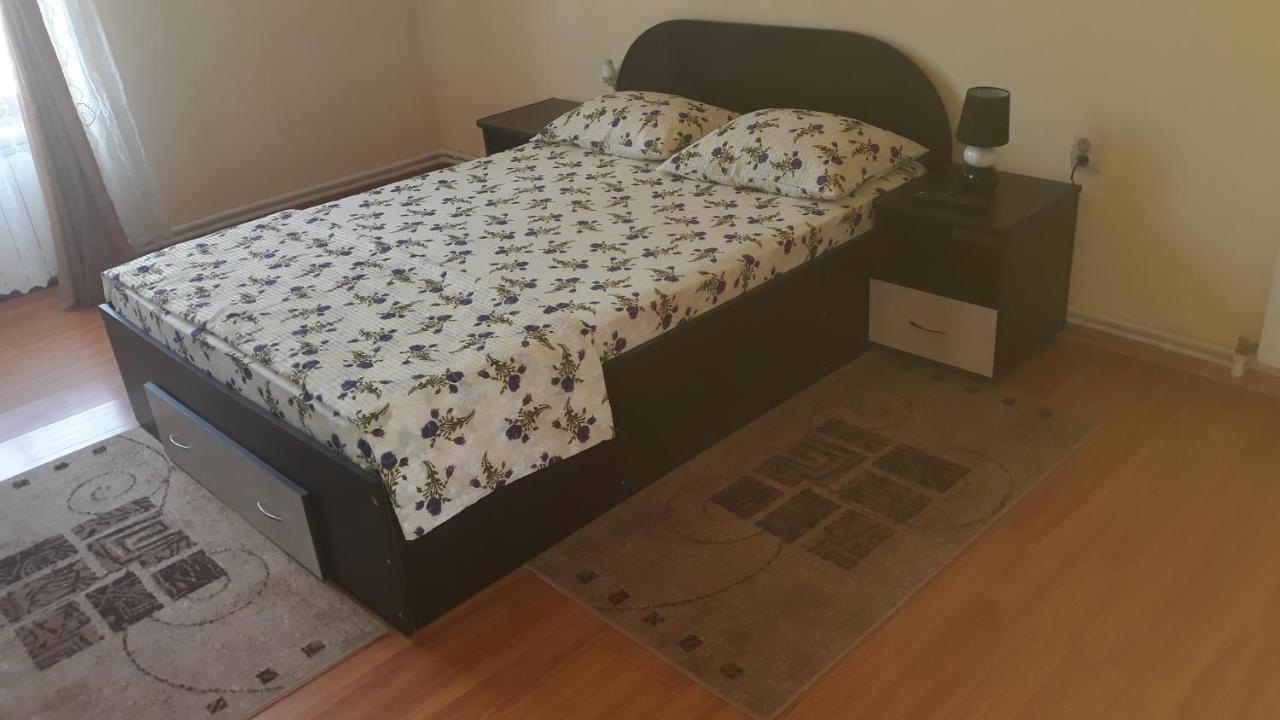 Casa Ovi Si Simo Hotel Haţeg Eksteriør billede