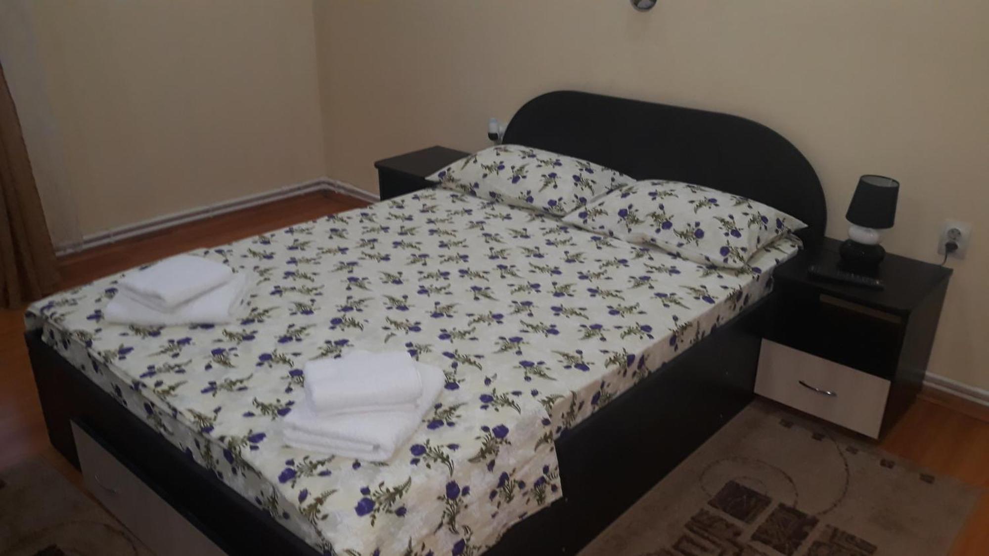 Casa Ovi Si Simo Hotel Haţeg Værelse billede