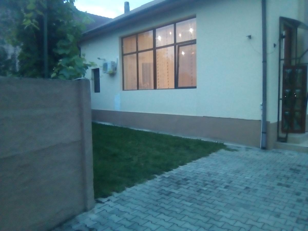 Casa Ovi Si Simo Hotel Haţeg Eksteriør billede