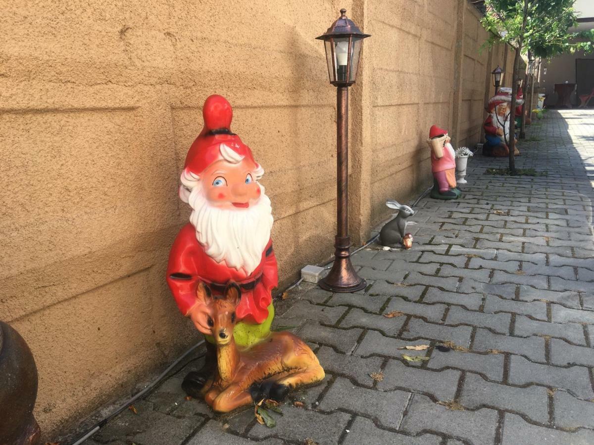 Casa Ovi Si Simo Hotel Haţeg Eksteriør billede