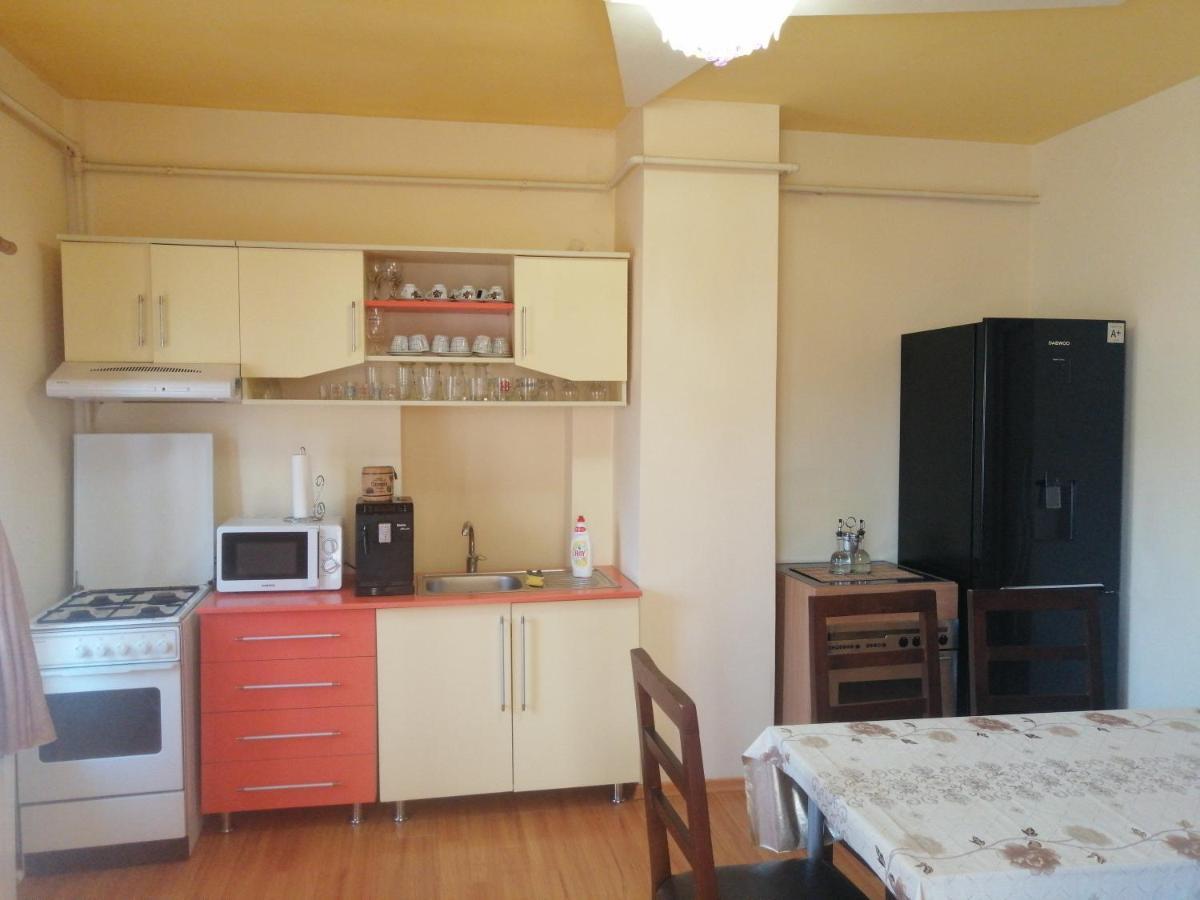 Casa Ovi Si Simo Hotel Haţeg Eksteriør billede